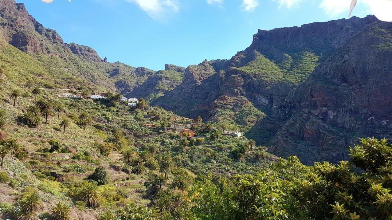 فيلا بوينافيستا ديل نورتيفي Casa Hernandez المظهر الخارجي الصورة